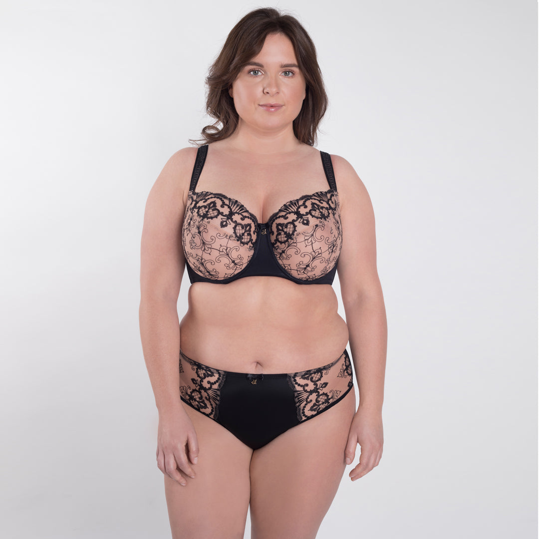 Sheer Mesh Tulle Embroidered Brief Panty Perla Black