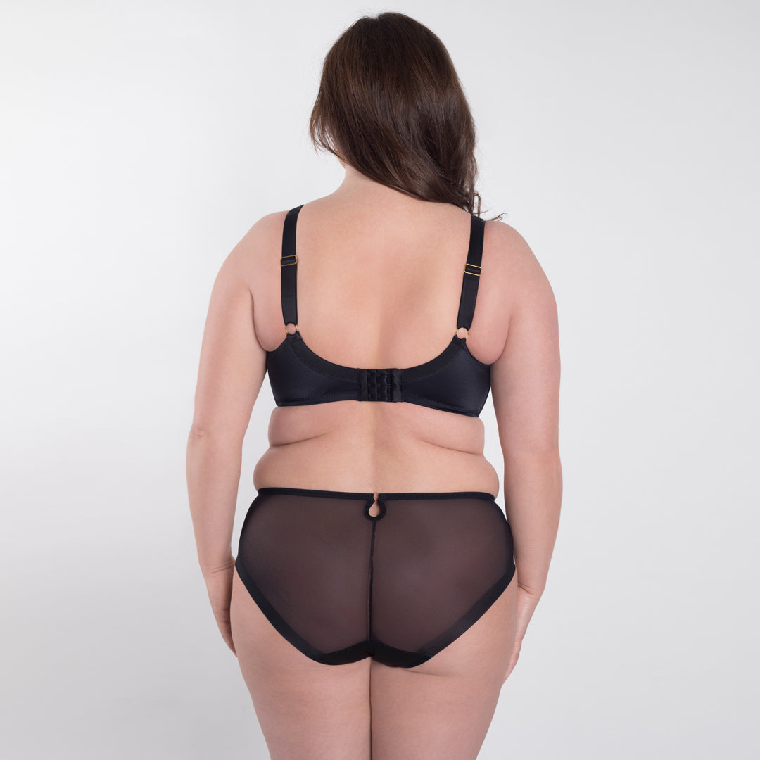 Sheer Mesh Tulle Embroidered Brief Panty Perla Black